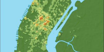 Žemėlapis Manhattan topografinis